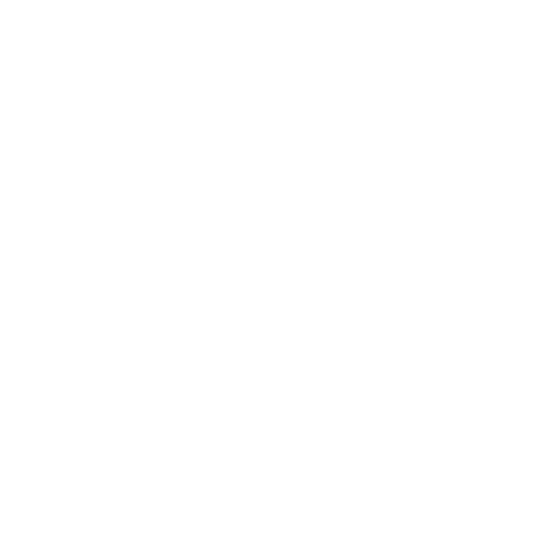 BNM Logo